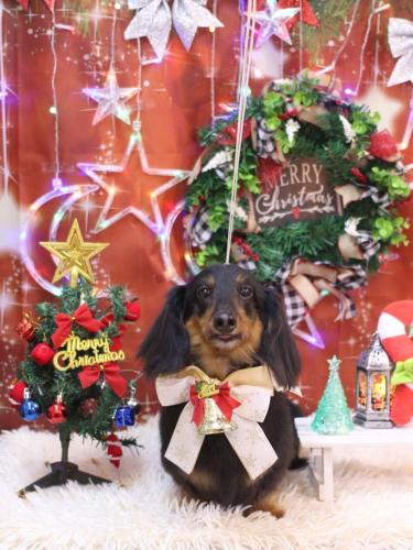 20231210オレンジくん